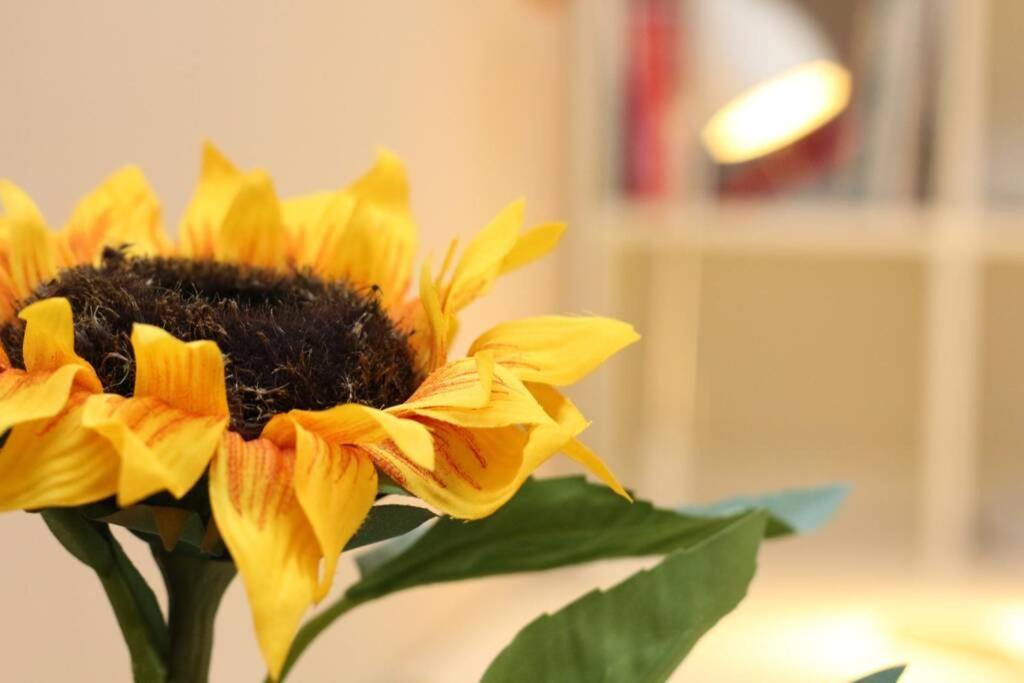 Fast Friend - Cozy Apartment In The Center With Private Garage Rijeka Extérieur photo