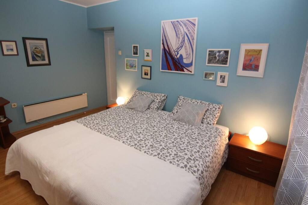Fast Friend - Cozy Apartment In The Center With Private Garage Rijeka Extérieur photo